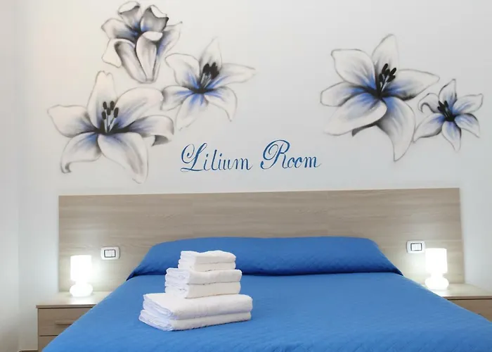 B&B Flower\'S House